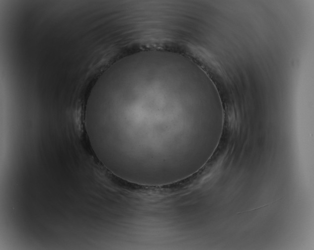 X0000093121060200710031330