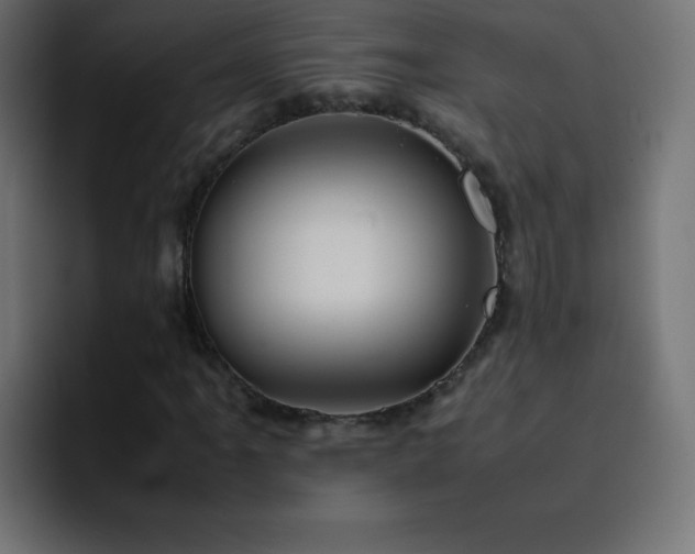 X0000093121061200710031330