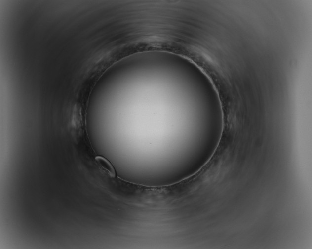 X0000093121062200710031330