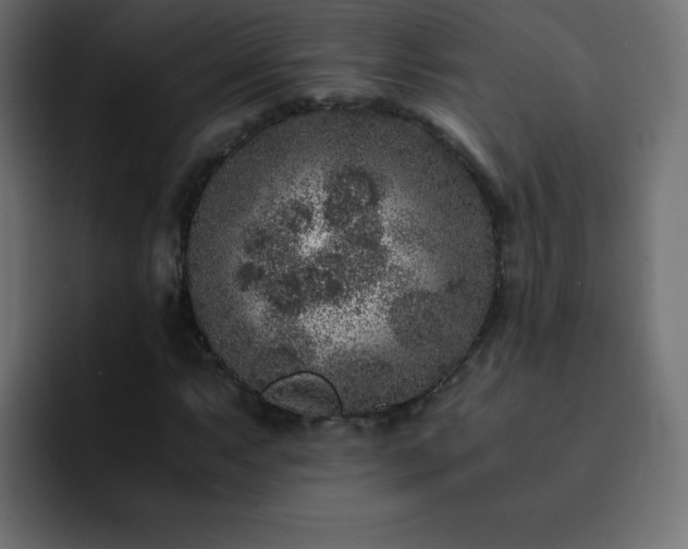 X0000093121063200710031330