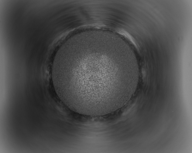 X0000093121064200710031330