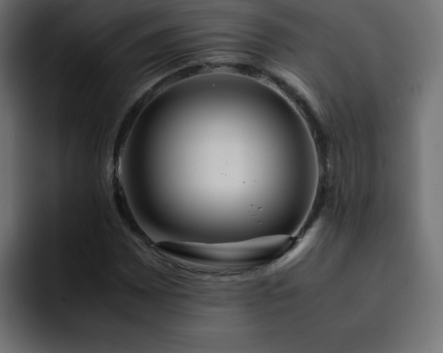 X0000093121065200710031330