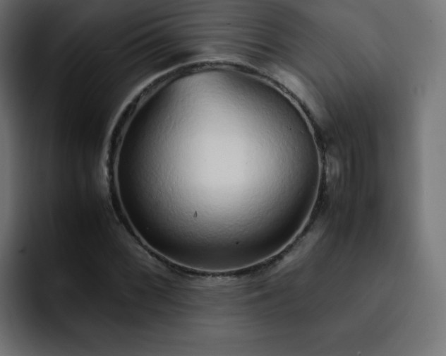 X0000093121068200710031330