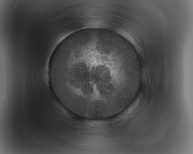 X0000093121071200710031330