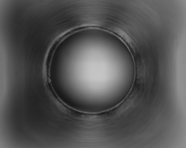 X0000093121072200710031330