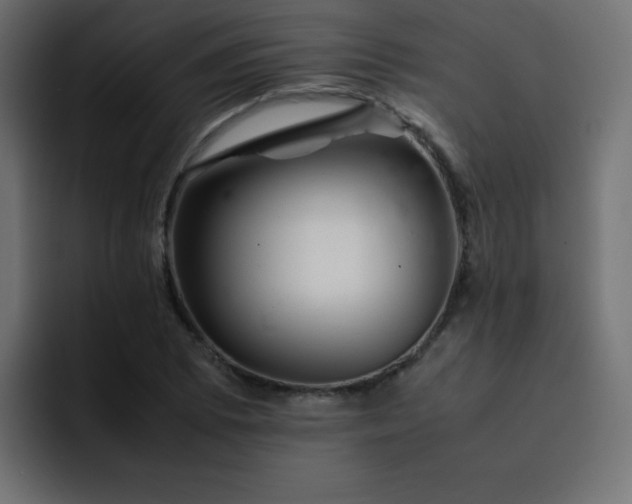 X0000093121073200710031330