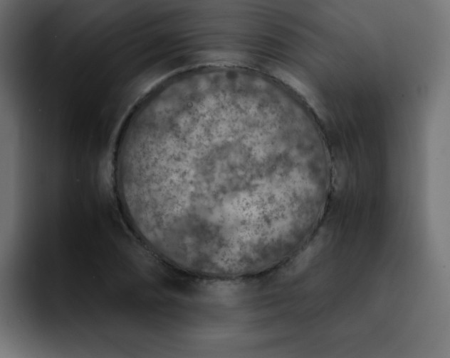 X0000093121074200710031330