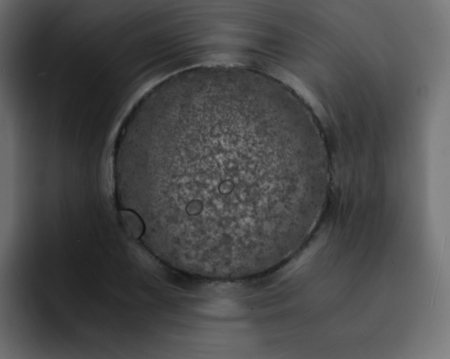 X0000093121075200710031330