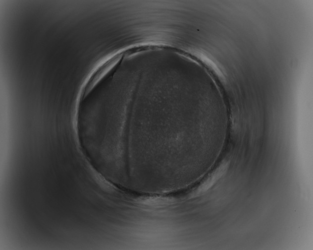 X0000093121077200710031330