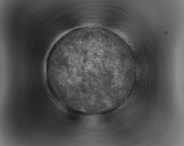 X0000093121078200710031330