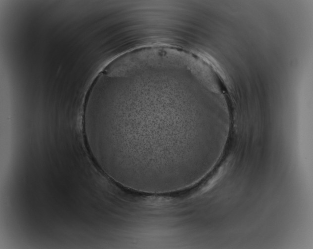 X0000093121081200710031330
