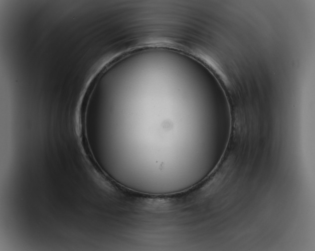 X0000093121082200710031330