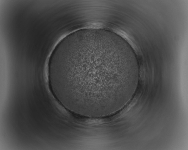 X0000093121083200710031330