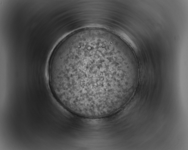 X0000093121084200710031329