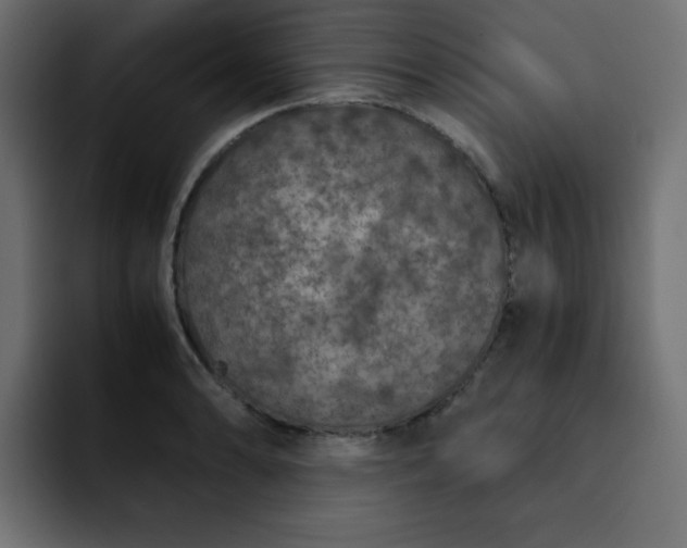 X0000093121086200710031329