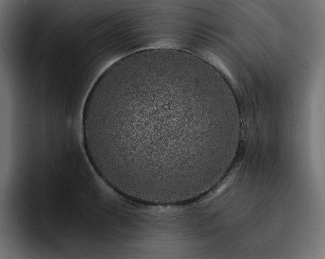 X0000093121087200710031329