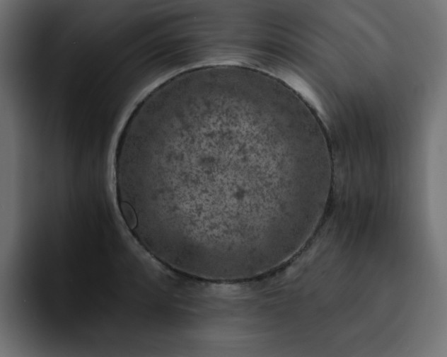 X0000093121088200710031329