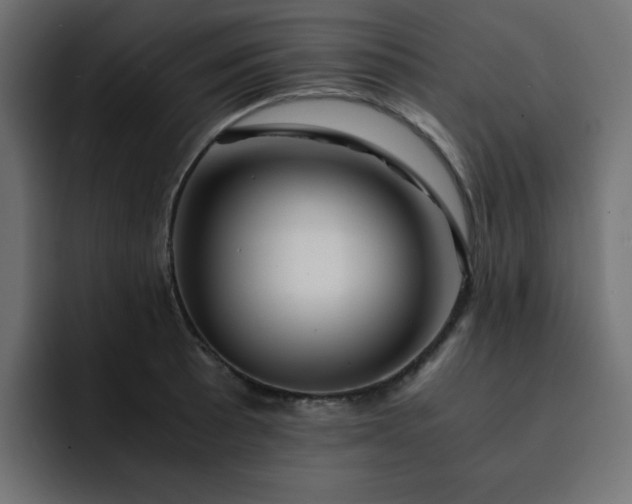 X0000093121089200710031329