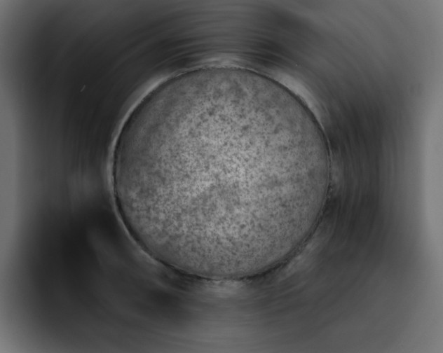 X0000093121090200710031329