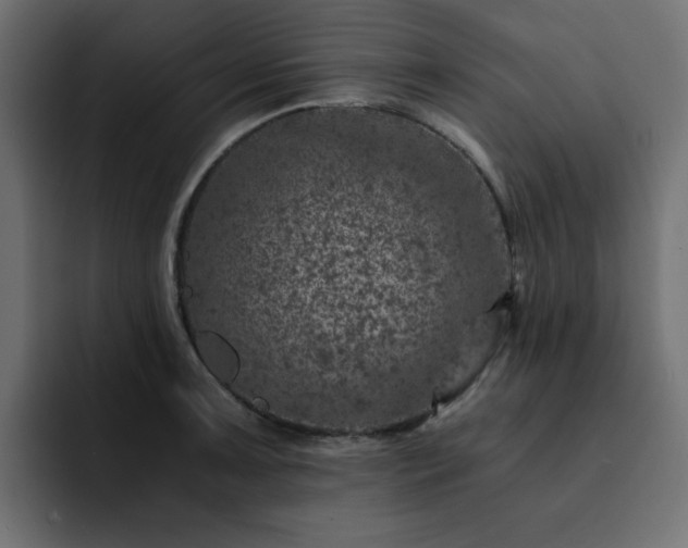 X0000093121091200710031329