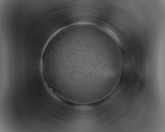 X0000093121092200710031329