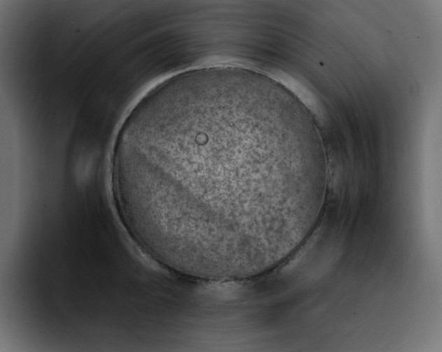 X0000093121094200710031329