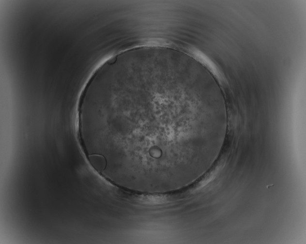 X0000093121095200710031329