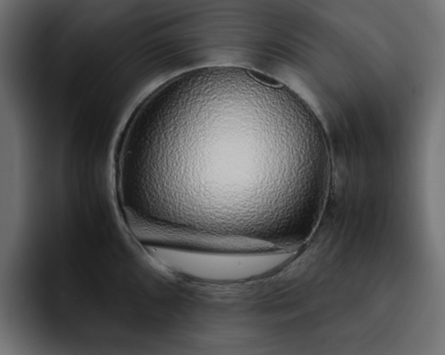 X0000093121096200710031329