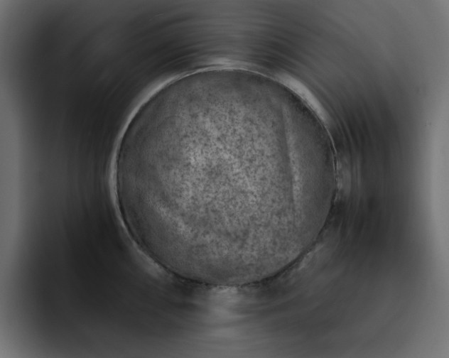 X0000093121098200710031329