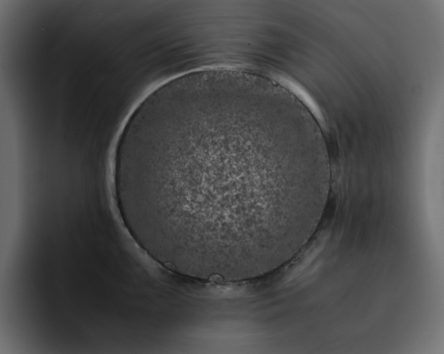 X0000093121099200710031329