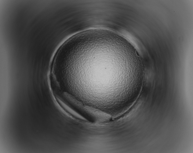 X0000093121100200710031329