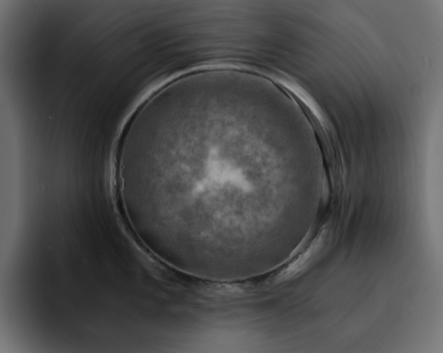 X0000093121101200710031329