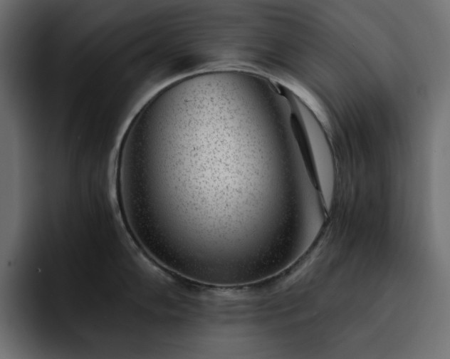 X0000093121102200710031329