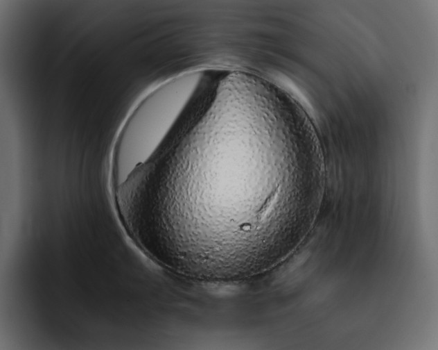 X0000093121103200710031329