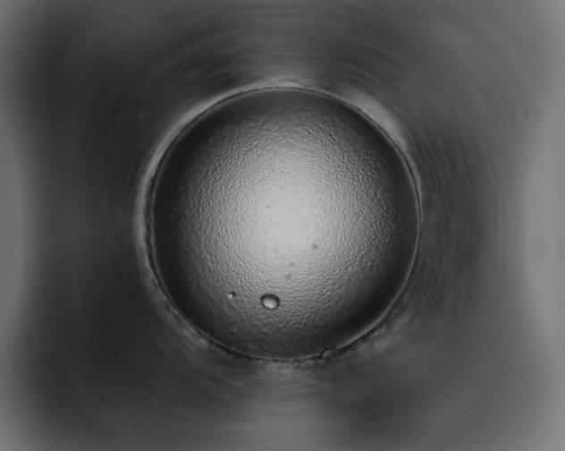 X0000093121104200710031329