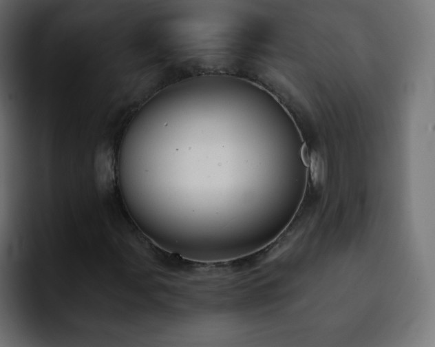 X0000093121107200710031329