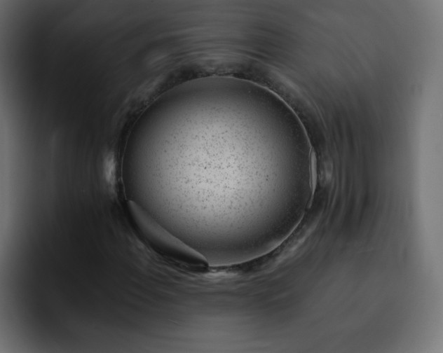 X0000093121108200710031329
