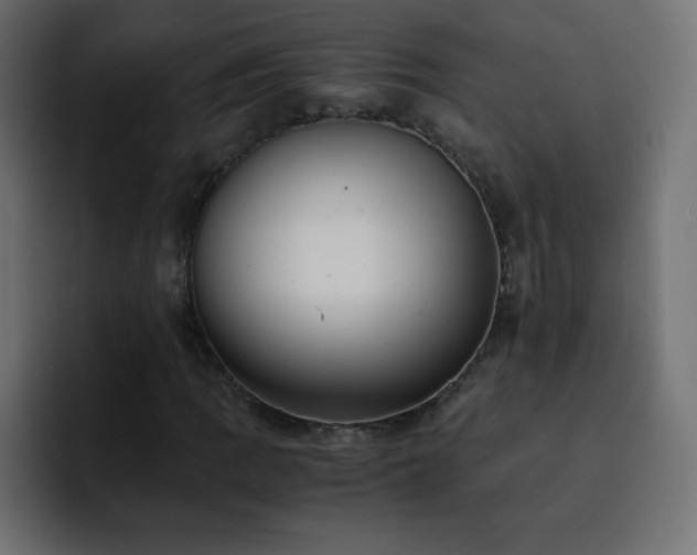 X0000093121109200710031329