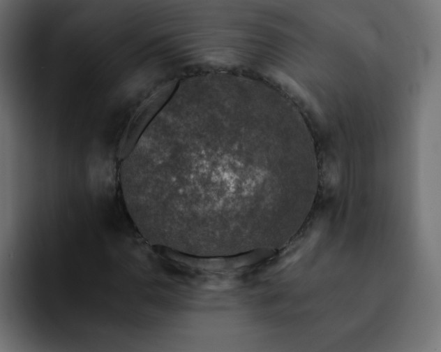 X0000093121110200710031329