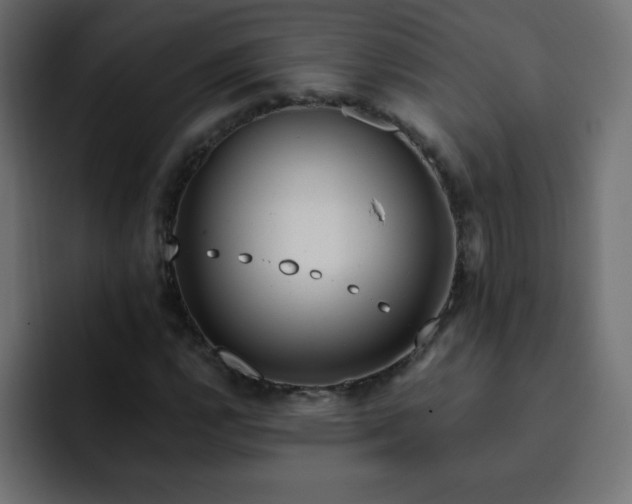 X0000093121112200710031329