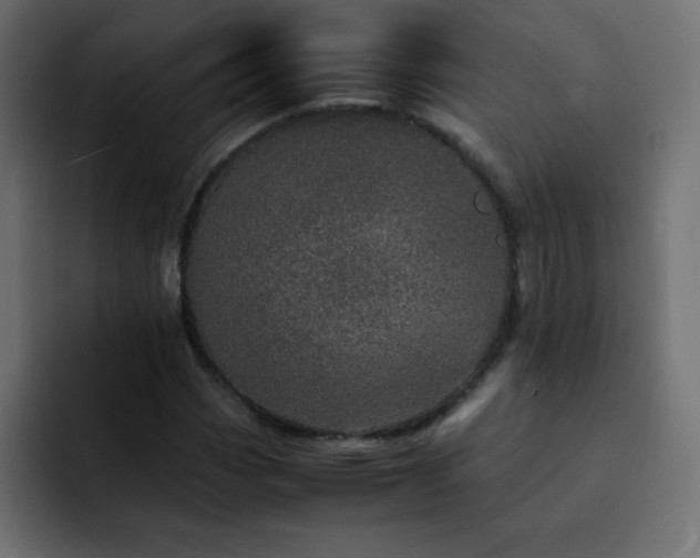 X0000093121113200710031329
