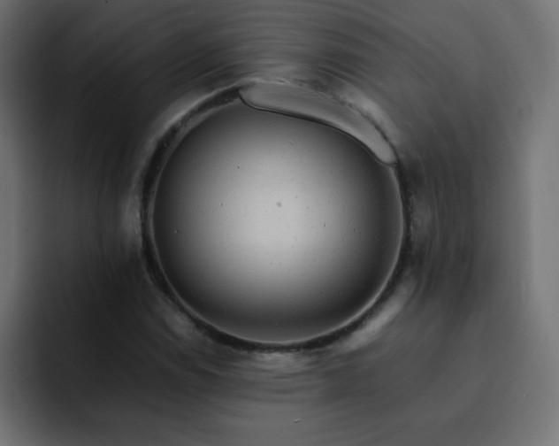 X0000093121114200710031329