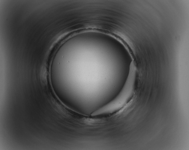 X0000093121115200710031329