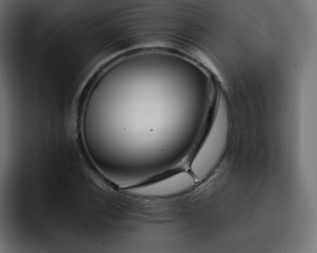 X0000093121116200710031329