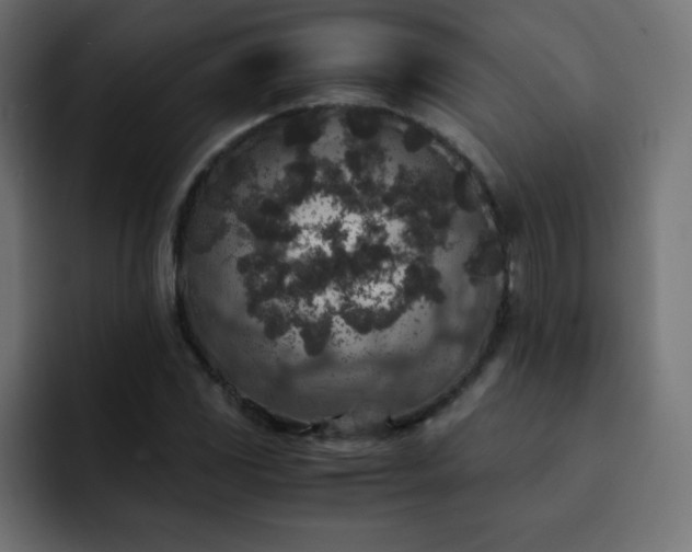 X0000093121117200710031329