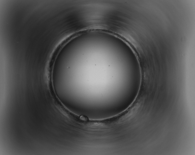 X0000093121119200710031329