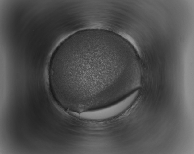 X0000093121120200710031329