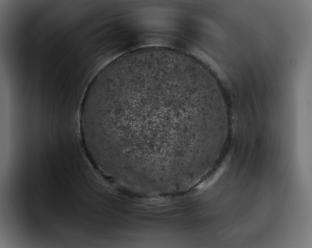 X0000093121121200710031329