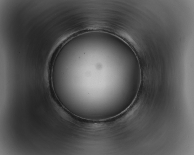 X0000093121122200710031329