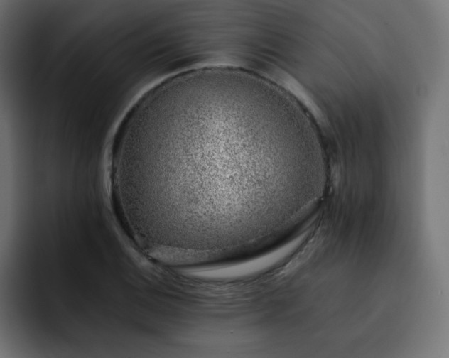 X0000093121124200710031329
